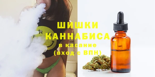 дживик Баксан