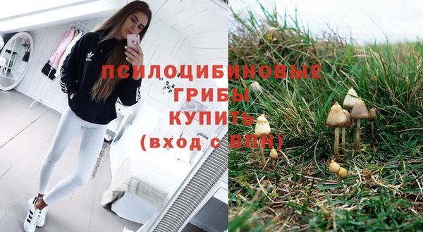крисы Балабаново