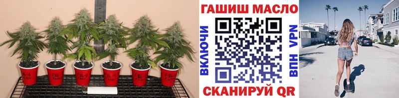 ТГК вейп с тгк  Ершов 